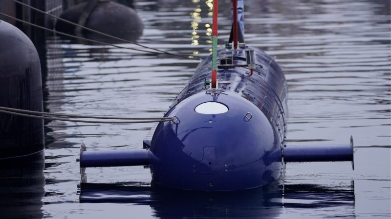 US Army Evaluates IonStrike Anti-Drone Interceptor System Along NATO's Eastern European Border