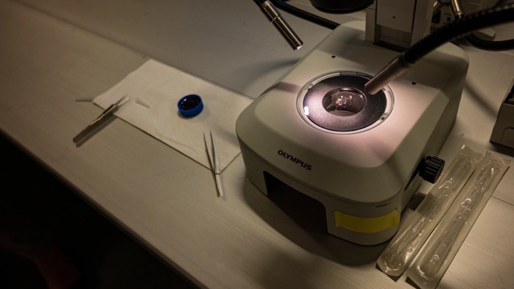 The Double-Edged Sword of AI, Unmanned Aircraft, and Synthetic Biology: Navigating Security Threats from Civilian Technologies