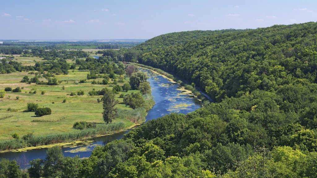 Do Public Perceptions Accurately Reflect the True Situation in Ukraine?